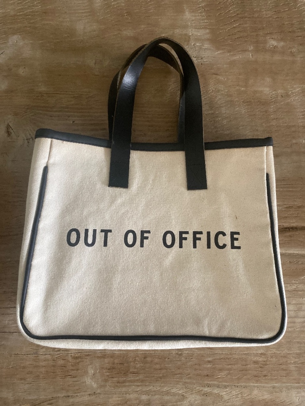 Santa Barbara Design Studio OUT OF OFFICE Mini Canvas Tote Small Travel Bag NWOT